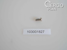 MSPF26060NIGP  Set Screw 2.6x6