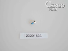 SPP20X050 Set Screw 2x5