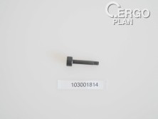 BL3-0170 Switch Lever Plunger