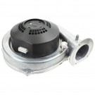 BOFA International Ltd - Motor pro BOFA 250, A1050014